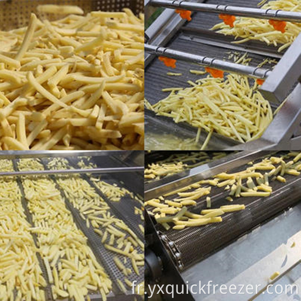 French Fries Production Line16